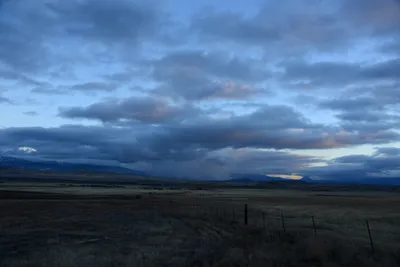 DSC_2968 (Large).JPG